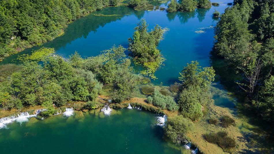 Kuca Za Odmor Zeleni Biser Vila Generalski Stol Exterior foto